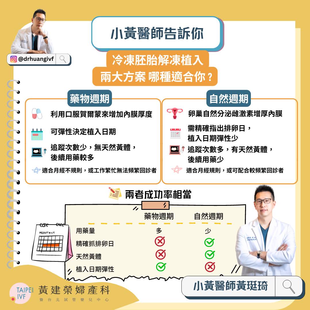 懷孕之路上的選擇：自然週期 vs. 藥物週期的冷凍胚胎植入